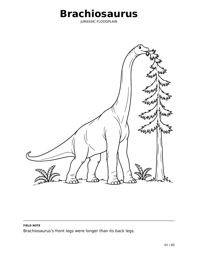 ברכיוזאורוס: עמוד צביעה מתוך Dino Trails