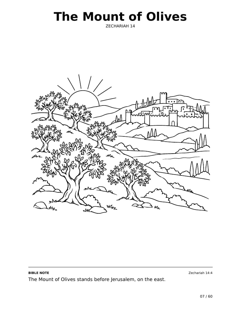 The Mount of Olives: real coloring page from Bible Trails
